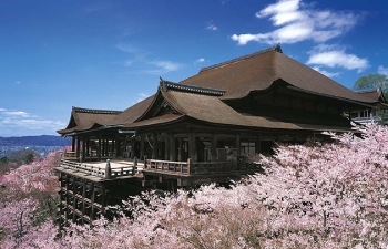 桜清水寺